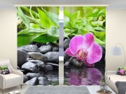 Фотошторы люкс Несравненная орхидея