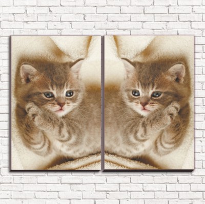 Модульная картина Дымчатый котенок арт. 2-1