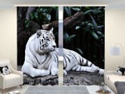 Фотошторы люкс Белый тигр