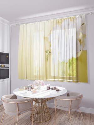 Кухонный фототюль Белая орхидея на желтом