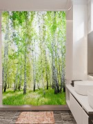 Фотоштора для ванной Березовый лес 2