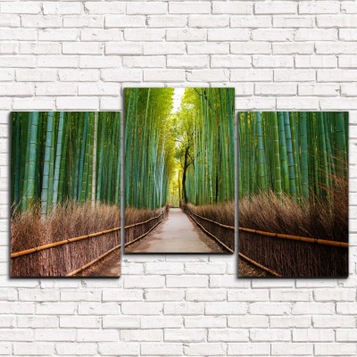 Модульная картина Бамбуковый лес арт. 3-1