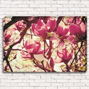 Фотокартина Цветочное розовое дерево арт. 1-1