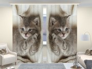 Фотошторы люкс Дымчатый котенок