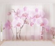 Фототюль Арка из орхидей
