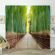Фотошторы Бамбуковый лес