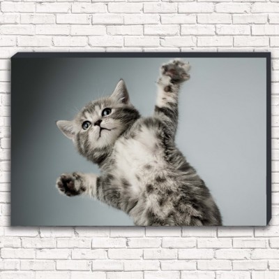 Фотокартина Игривый котенок арт. 1-1