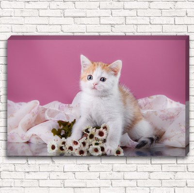 Фотокартина Котёнок с букетом арт. 1-1