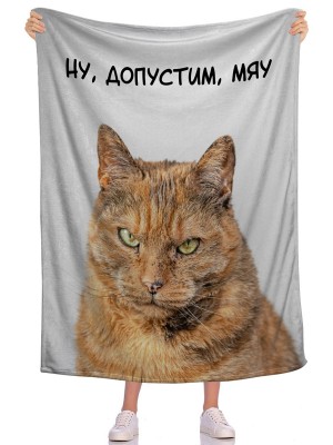 Плед Ну, допустим, мяу