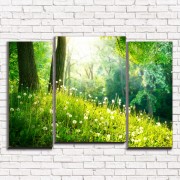 Модульная картина Рассвет в лесу арт. 3-2