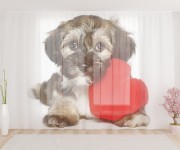 Фототюль Собака с сердцем