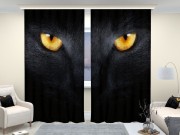 Фотошторы люкс Черный кот