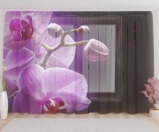 Фототюль Орхидея в сумраке